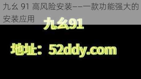 九幺 91 高风险安装——一款功能强大的安装应用