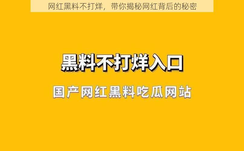 网红黑料不打烊，带你揭秘网红背后的秘密