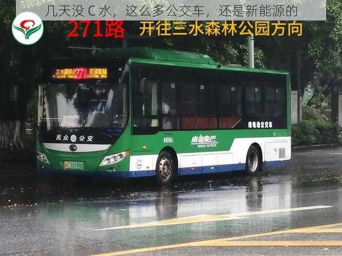 几天没 C 水，这么多公交车，还是新能源的