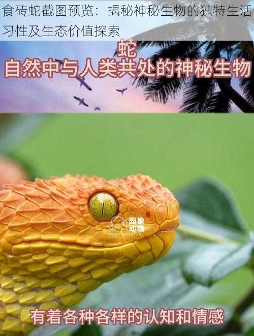 食砖蛇截图预览：揭秘神秘生物的独特生活习性及生态价值探索