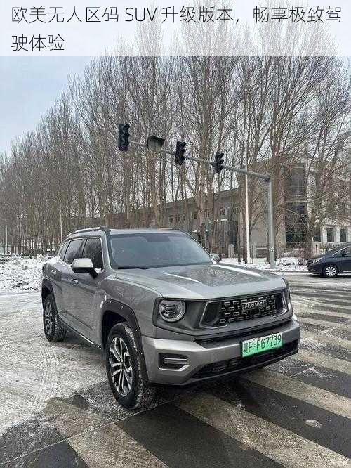 欧美无人区码 SUV 升级版本，畅享极致驾驶体验