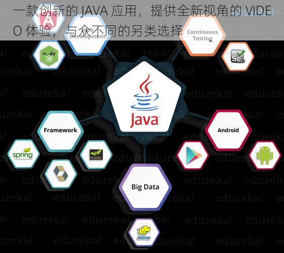 一款创新的 JAVA 应用，提供全新视角的 VIDEO 体验，与众不同的另类选择