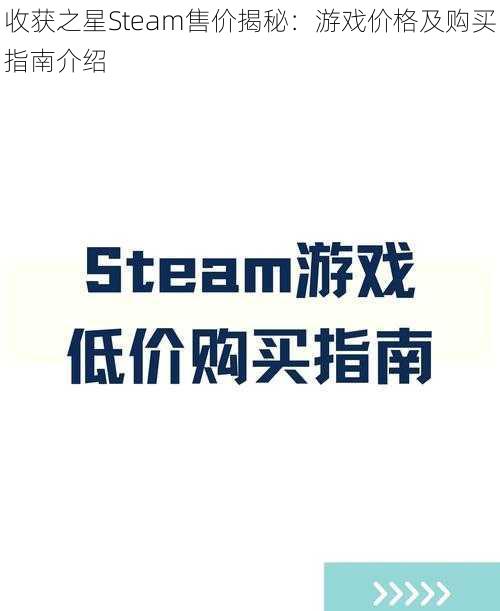 收获之星Steam售价揭秘：游戏价格及购买指南介绍