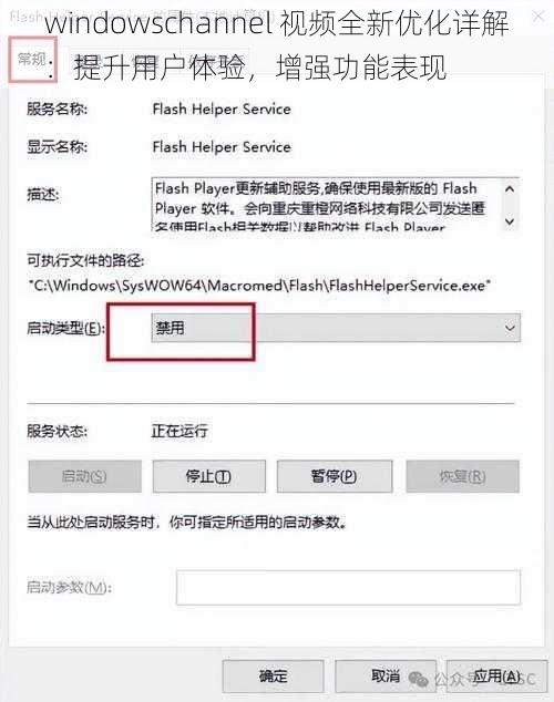 windowschannel 视频全新优化详解：提升用户体验，增强功能表现