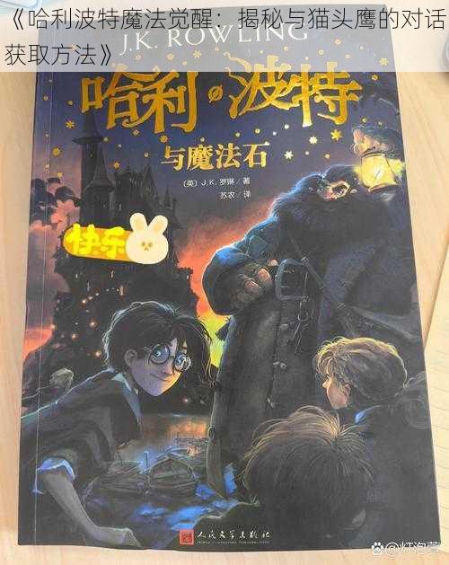 《哈利波特魔法觉醒：揭秘与猫头鹰的对话获取方法》