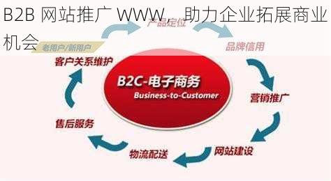 B2B 网站推广 WWW，助力企业拓展商业机会