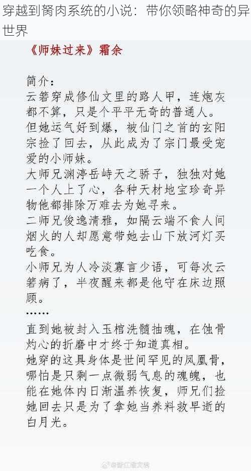 穿越到胬肉系统的小说：带你领略神奇的异世界