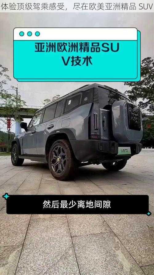 体验顶级驾乘感受，尽在欧美亚洲精品 SUV