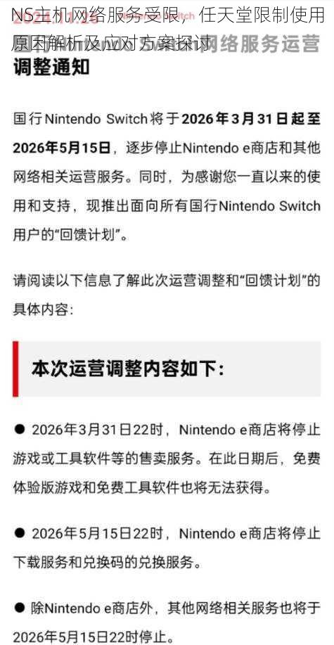 NS主机网络服务受限，任天堂限制使用原因解析及应对方案探讨