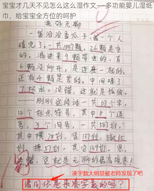 宝宝才几天不见怎么这么湿作文——多功能婴儿湿纸巾，给宝宝全方位的呵护