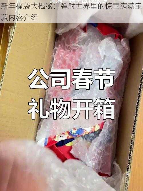 新年福袋大揭秘：弹射世界里的惊喜满满宝藏内容介绍