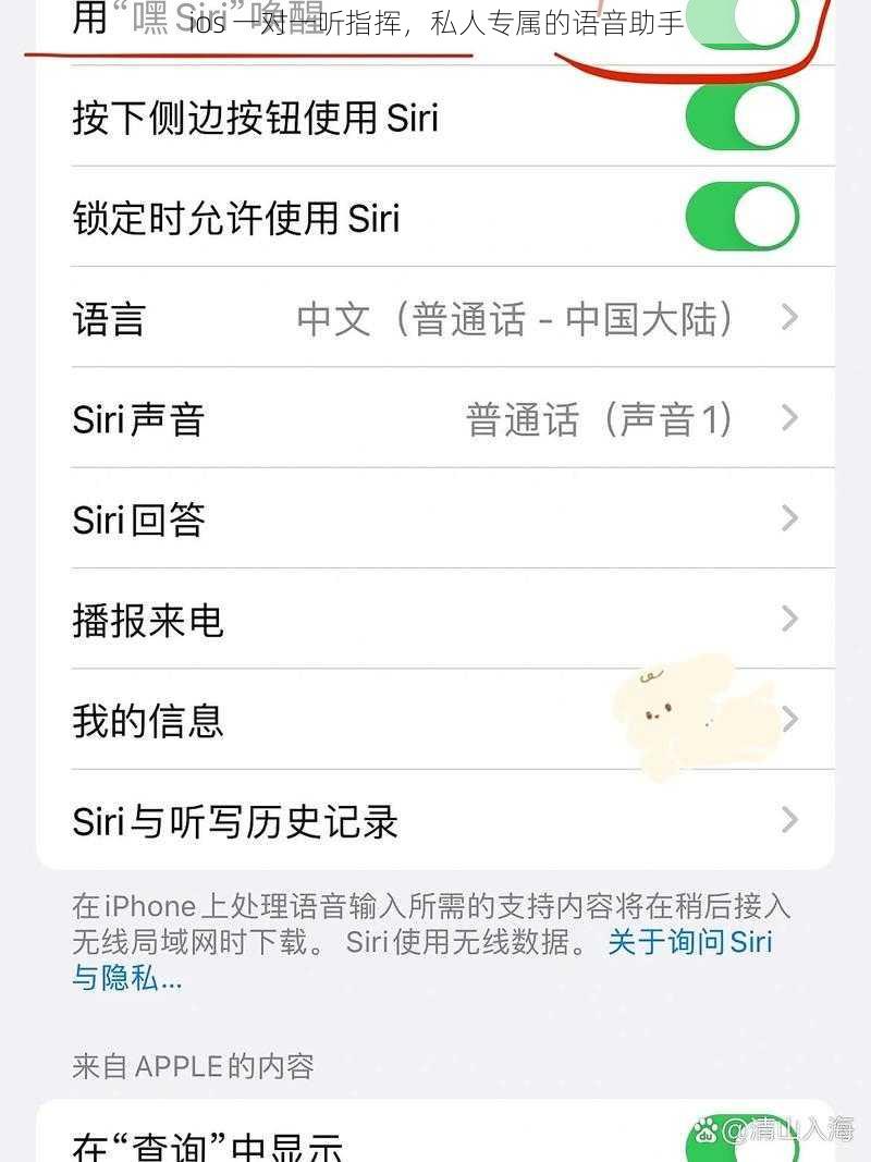 ios 一对一听指挥，私人专属的语音助手