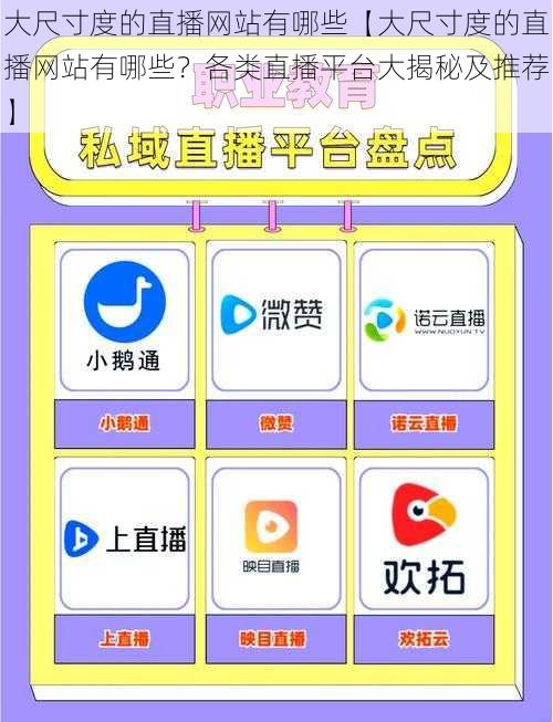 大尺寸度的直播网站有哪些【大尺寸度的直播网站有哪些？各类直播平台大揭秘及推荐】
