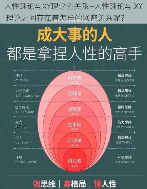 人性理论与XY理论的关系—人性理论与 XY 理论之间存在着怎样的紧密关系呢？