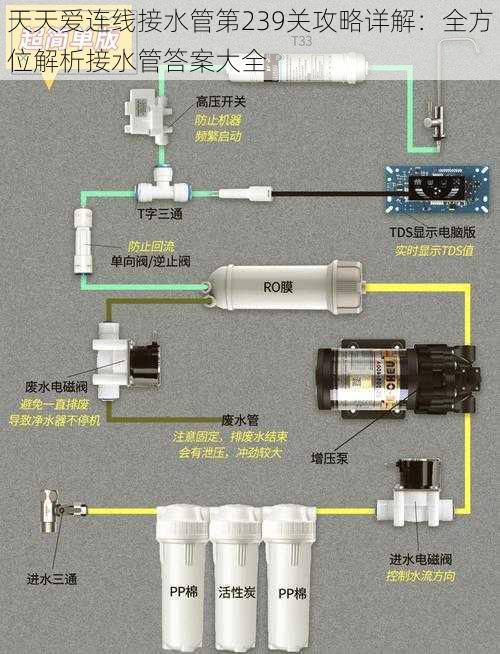 天天爱连线接水管第239关攻略详解：全方位解析接水管答案大全