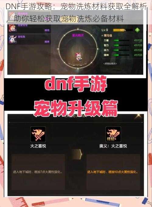 DNF手游攻略：宠物洗炼材料获取全解析，助你轻松获取宠物洗炼必备材料