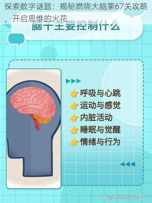 探索数字谜题：揭秘燃烧大脑第67关攻略，开启思维的火花