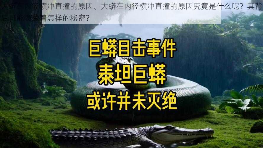 大蟒在内径横冲直撞的原因、大蟒在内径横冲直撞的原因究竟是什么呢？其背后可能隐藏着怎样的秘密？