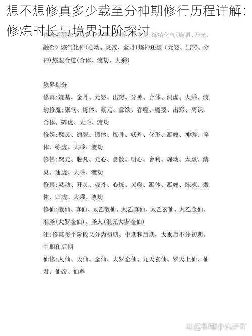 想不想修真多少载至分神期修行历程详解：修炼时长与境界进阶探讨