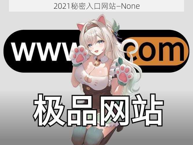 2021秘密入口网站—None