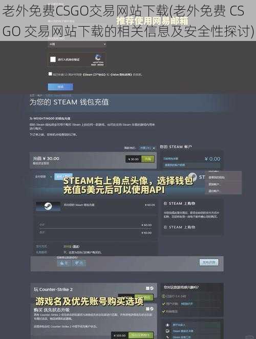 老外免费CSGO交易网站下载(老外免费 CSGO 交易网站下载的相关信息及安全性探讨)