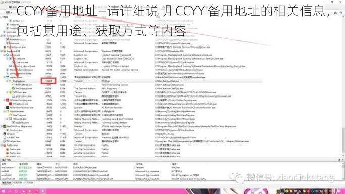 CCYY备用地址—请详细说明 CCYY 备用地址的相关信息，包括其用途、获取方式等内容