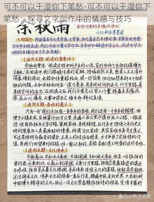 可不可以干湿你下笔愁-可不可以干湿你下笔愁：探寻文字创作中的情感与技巧