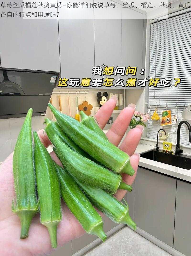 草莓丝瓜榴莲秋葵黄瓜—你能详细说说草莓、丝瓜、榴莲、秋葵、黄瓜各自的特点和用途吗？