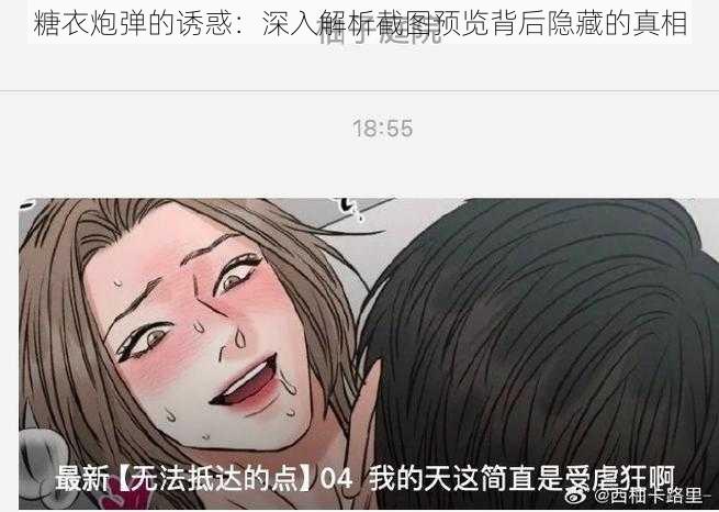 糖衣炮弹的诱惑：深入解析截图预览背后隐藏的真相