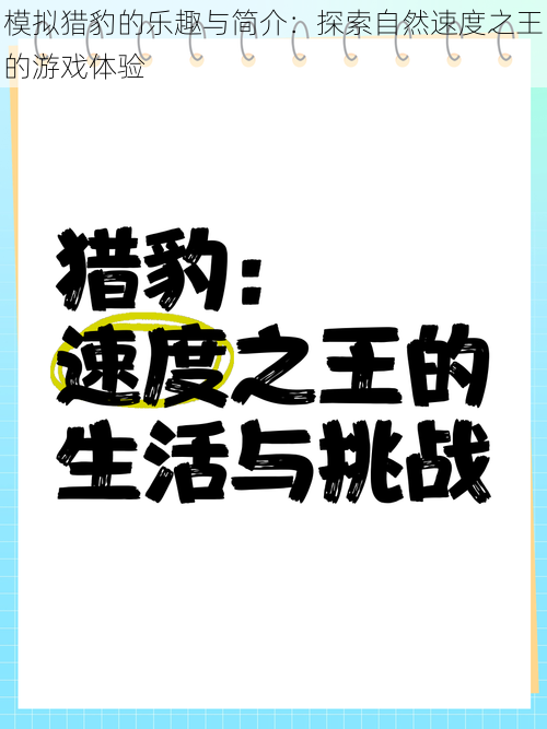 模拟猎豹的乐趣与简介：探索自然速度之王的游戏体验