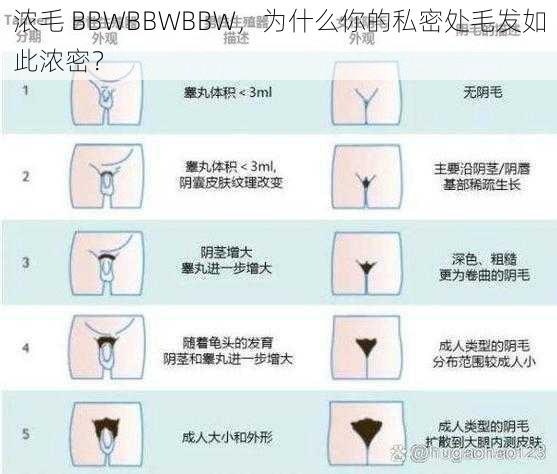 浓毛 BBWBBWBBW，为什么你的私密处毛发如此浓密？