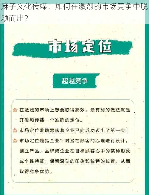 麻子文化传媒：如何在激烈的市场竞争中脱颖而出？