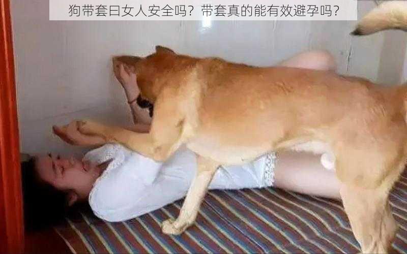 狗带套曰女人安全吗？带套真的能有效避孕吗？