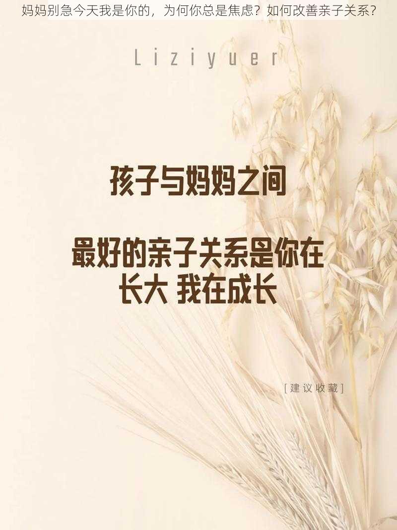 妈妈别急今天我是你的，为何你总是焦虑？如何改善亲子关系？