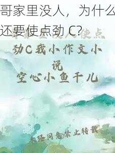 哥家里没人，为什么还要使点劲 C？