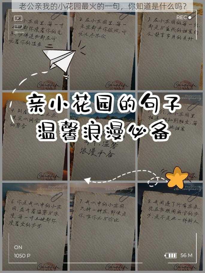 老公亲我的小花园最火的一句，你知道是什么吗？