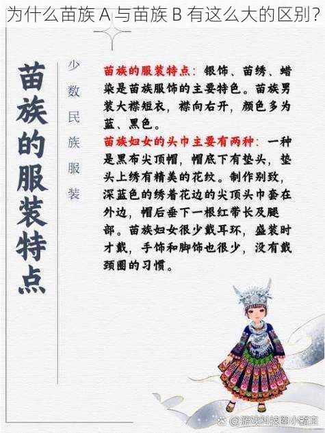 为什么苗族 A 与苗族 B 有这么大的区别？