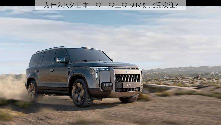 为什么久久日本一线二线三线 SUV 如此受欢迎？