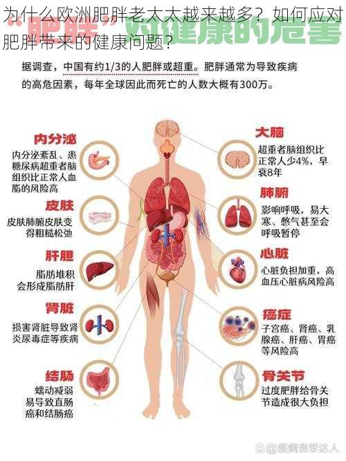 为什么欧洲肥胖老太太越来越多？如何应对肥胖带来的健康问题？