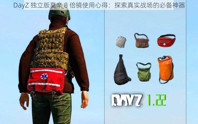 DayZ 独立版莫辛 8 倍镜使用心得：探索真实战场的必备神器