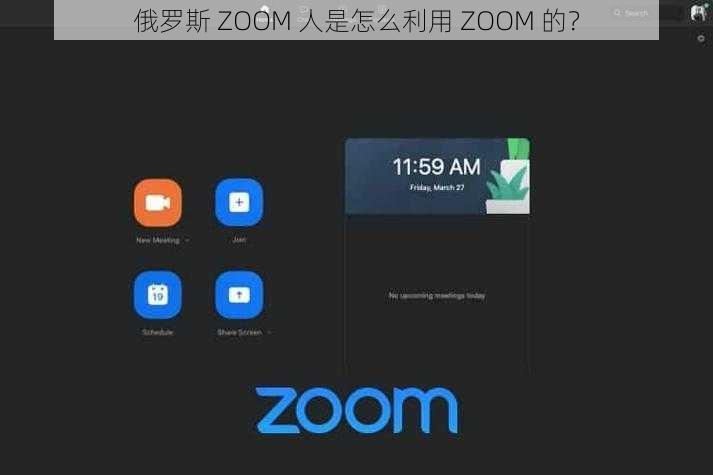 俄罗斯 ZOOM 人是怎么利用 ZOOM 的？