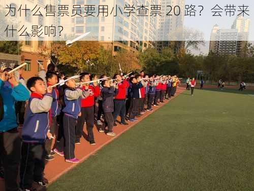 为什么售票员要用小学查票 20 路？会带来什么影响？