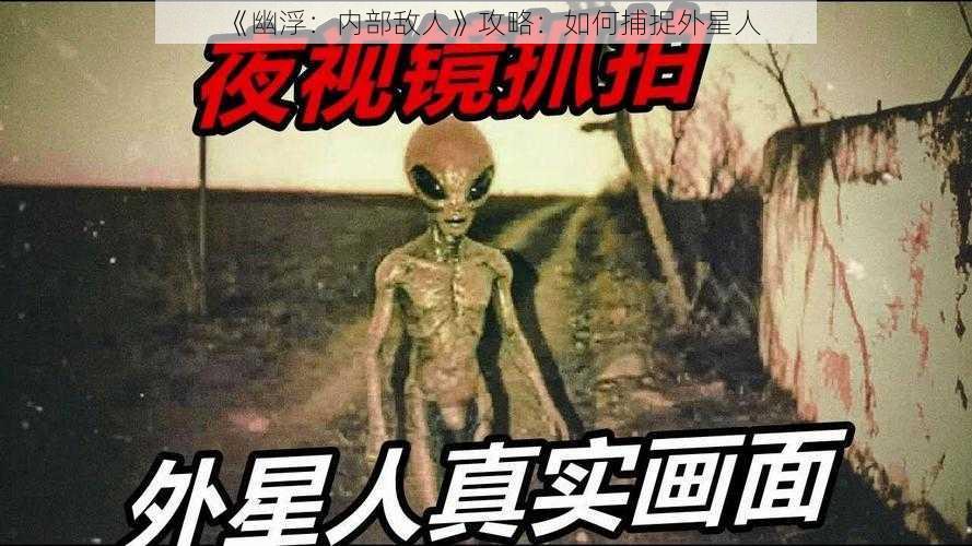 《幽浮：内部敌人》攻略：如何捕捉外星人