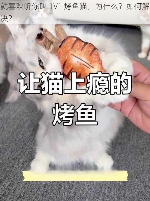 就喜欢听你叫 1V1 烤鱼猫，为什么？如何解决？