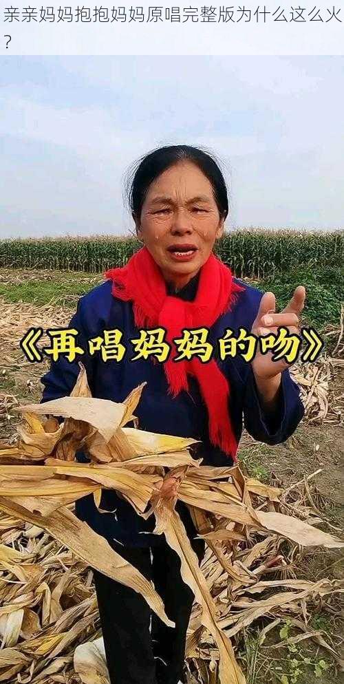 亲亲妈妈抱抱妈妈原唱完整版为什么这么火？