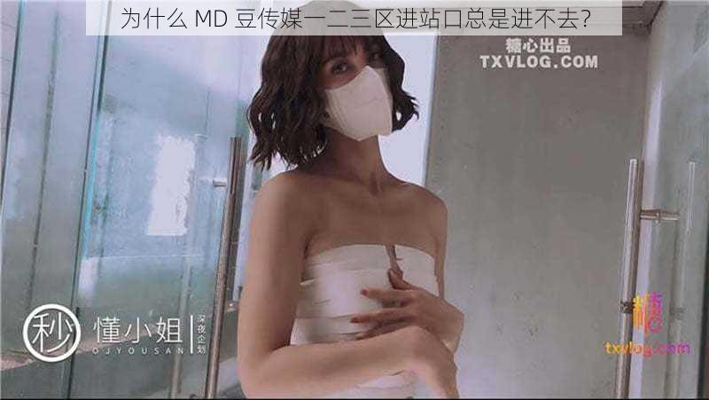 为什么 MD 豆传媒一二三区进站口总是进不去？