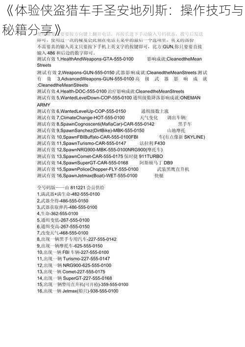 《体验侠盗猎车手圣安地列斯：操作技巧与秘籍分享》