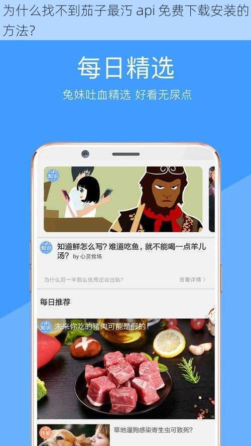 为什么找不到茄子最汅 api 免费下载安装的方法？