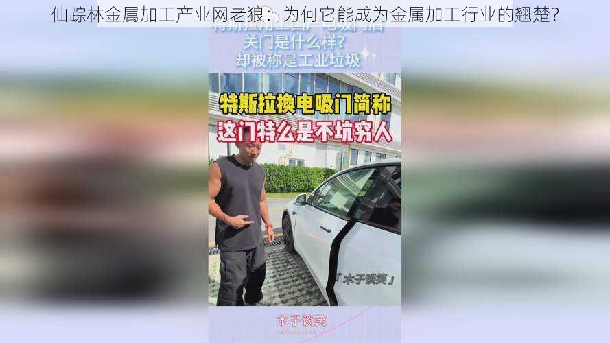 仙踪林金属加工产业网老狼：为何它能成为金属加工行业的翘楚？