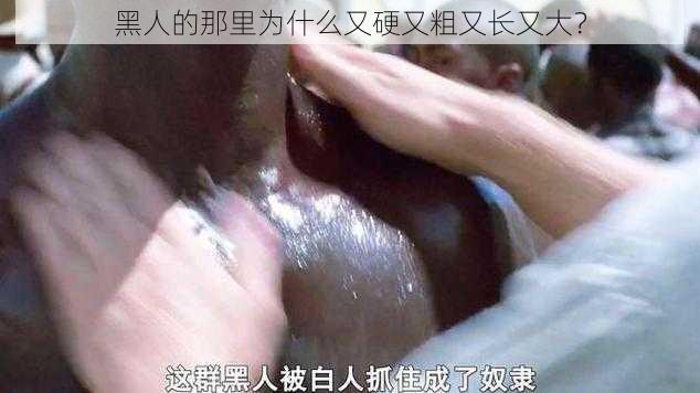 黑人的那里为什么又硬又粗又长又大？